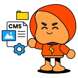 CMS Development